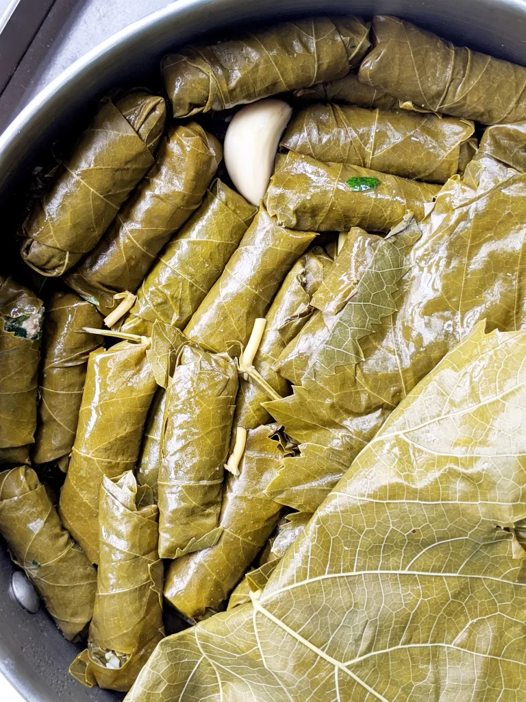 mahshi warak enab - stuffed grape leaves