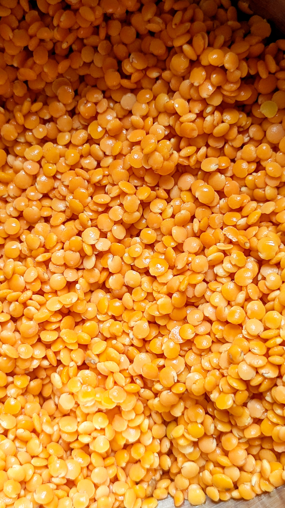 Washed red lentils for Egyptian red lentil soup